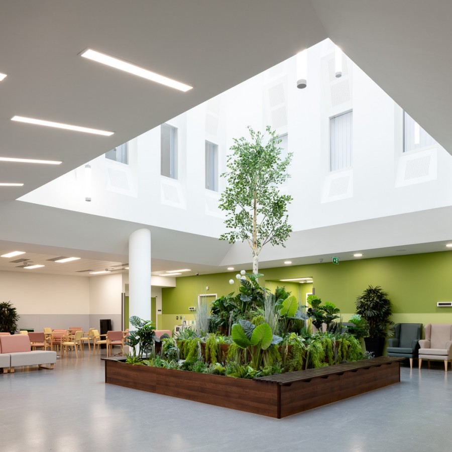 3217 018D Small DonalMurphyPhoto